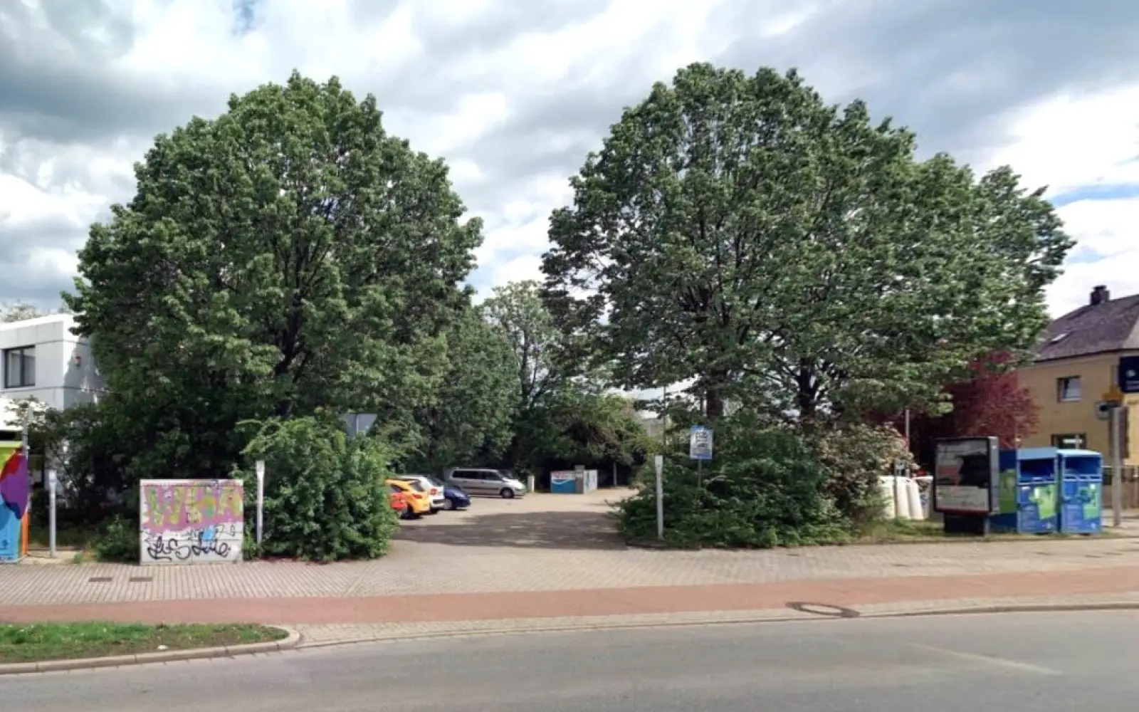 Mit der Entwicklung dieser Bäume am Großenbaumer Bahnhof sind die WBD-Fachleute zufrieden. Foto: WBD