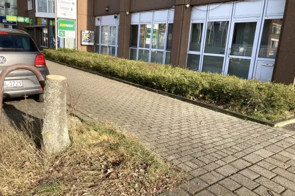 Viele Bäume wurden in Großenbaum gefällt – Ersatzpflanzungen ab Februar geplant