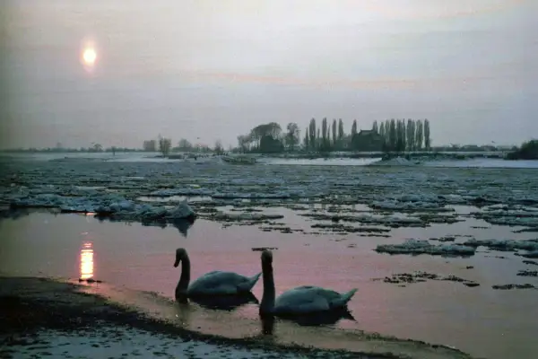 Treibeis auf dem Rhein