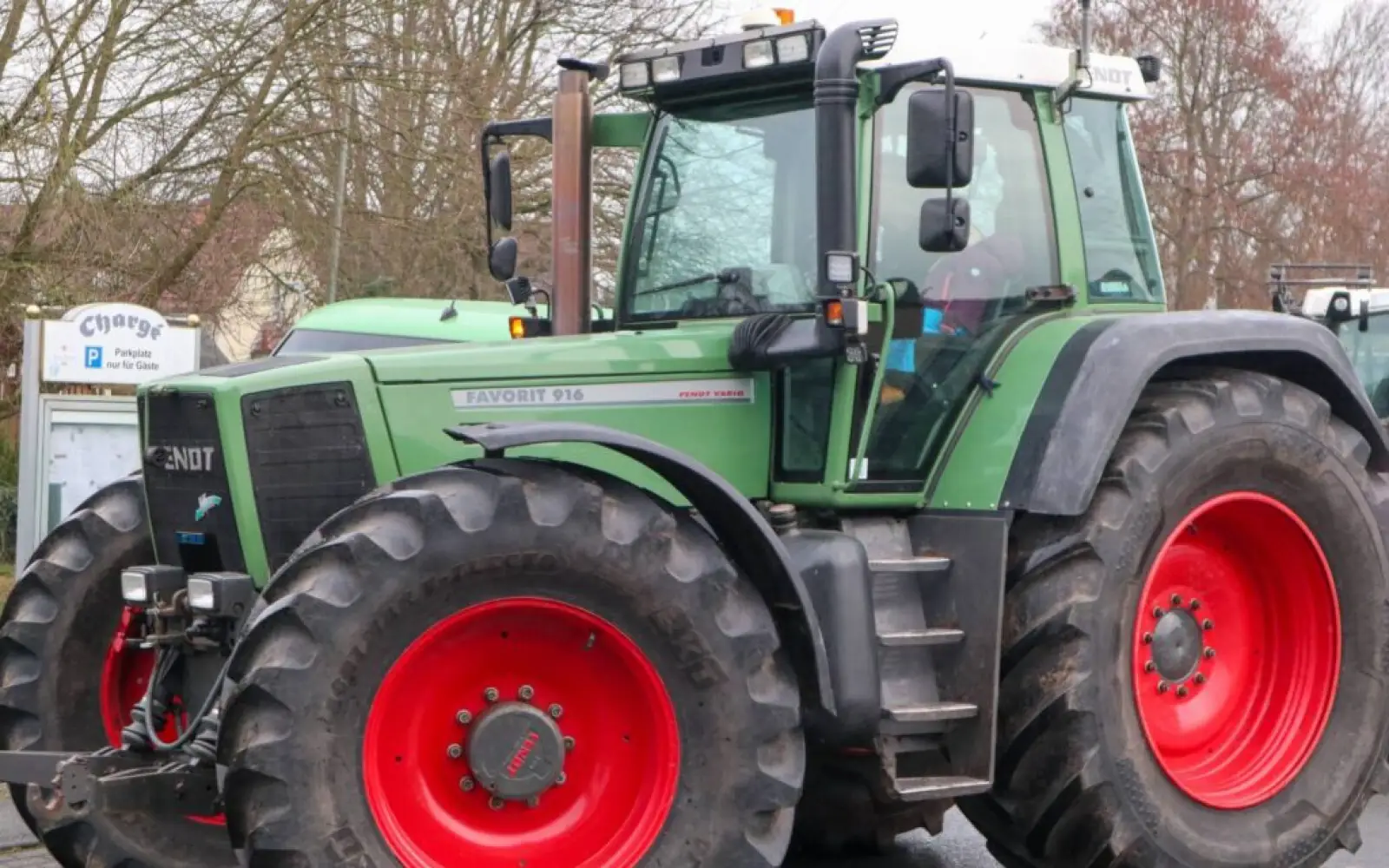 Ein mittlerer „Favorit“. Foto: vj