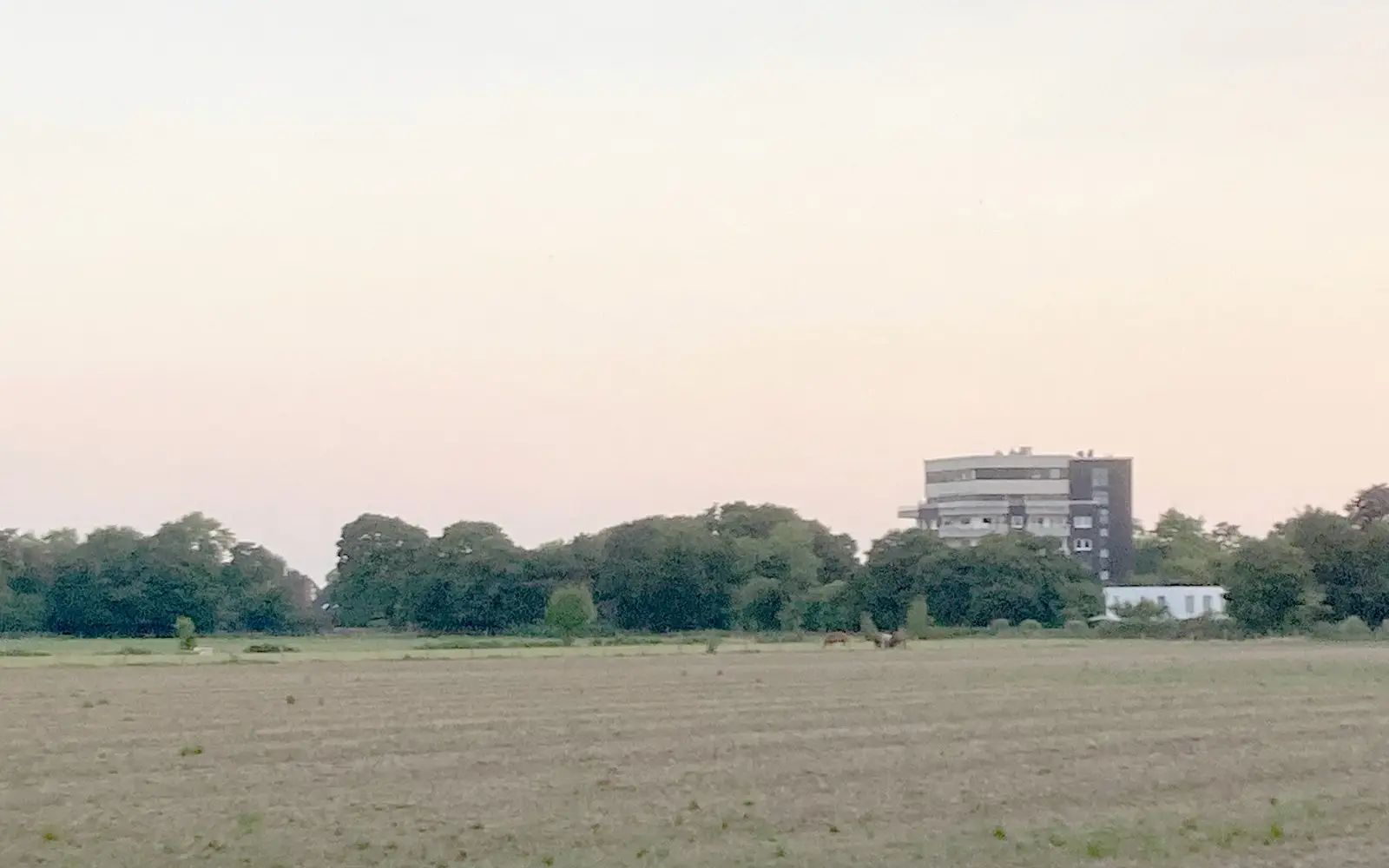 Dagmar und Dieter Düster sprechen sich für das Neubaugebiet Rahmerbuschfeld aus. Sie vermissen die Einkaufsmöglichkeit und freuen sich auf einen Ort der sozialen Begegnung sowie auf eine bessere Ökobilanz. Foto: sam
