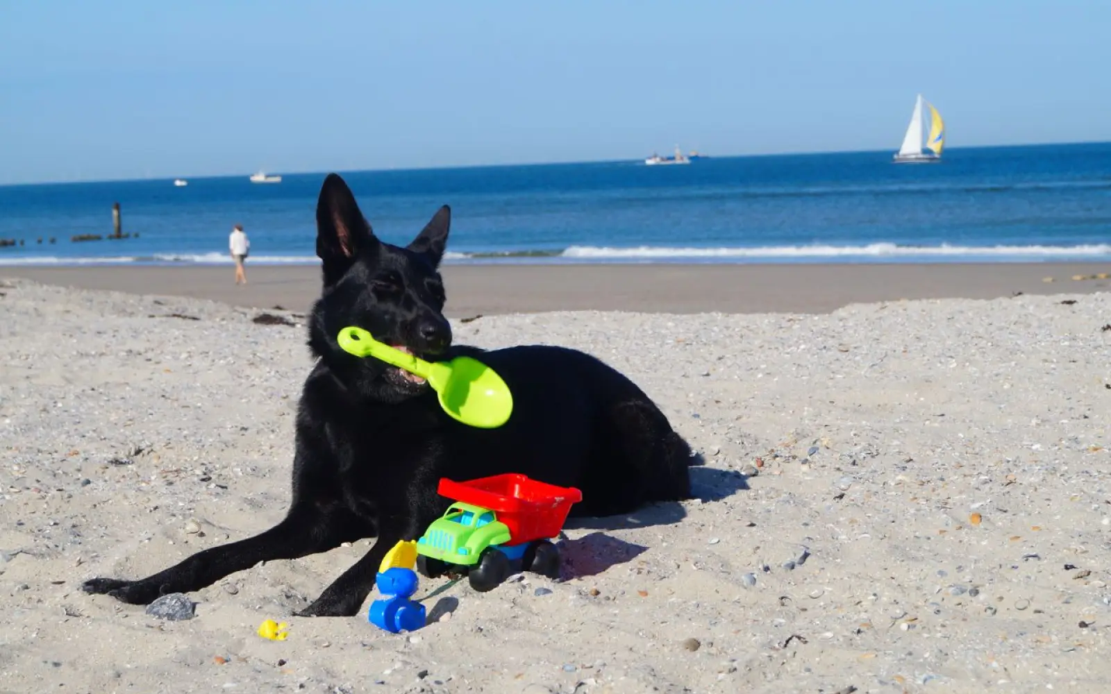 Urlaub mit Hund beginnt mit guter Vorbereitung. Foto: Jörg Müller
