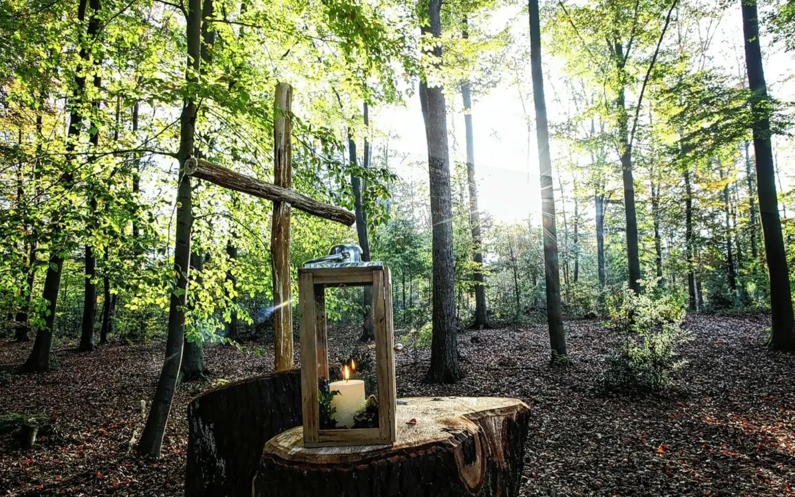 Ein schlichtes Holzkreuz und eine Laterne auf einem Baumstumpf am Andachtsplatz im Ruhewald Lintorfer Mark, umgeben von strahlendem Sonnenlicht und friedlicher Natur. Foto: Ruhewald Lintorfer Mark