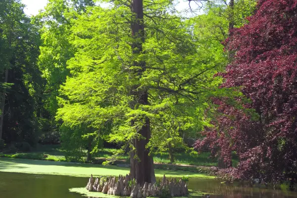 Marienfeier im Heltorfer Schlosspark