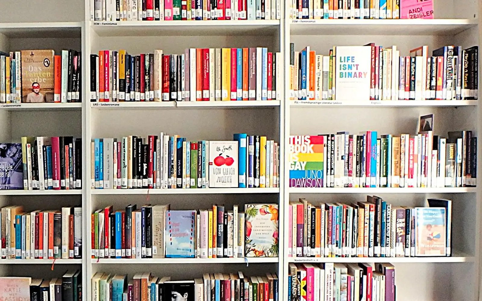 Ein Blick auf die gut sortierte Bücherwand der LuSBD – Lesben- und Schwulenbibliothek Düsseldorf im Angermunder Bürgerhaus. Foto: LuSBD
