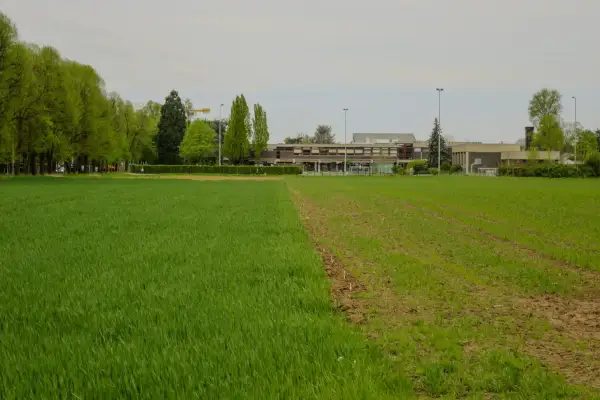Bebauungsplan-Vorentwurf für Gebiet nördlich der Kalkumer Schlossallee liegt vor