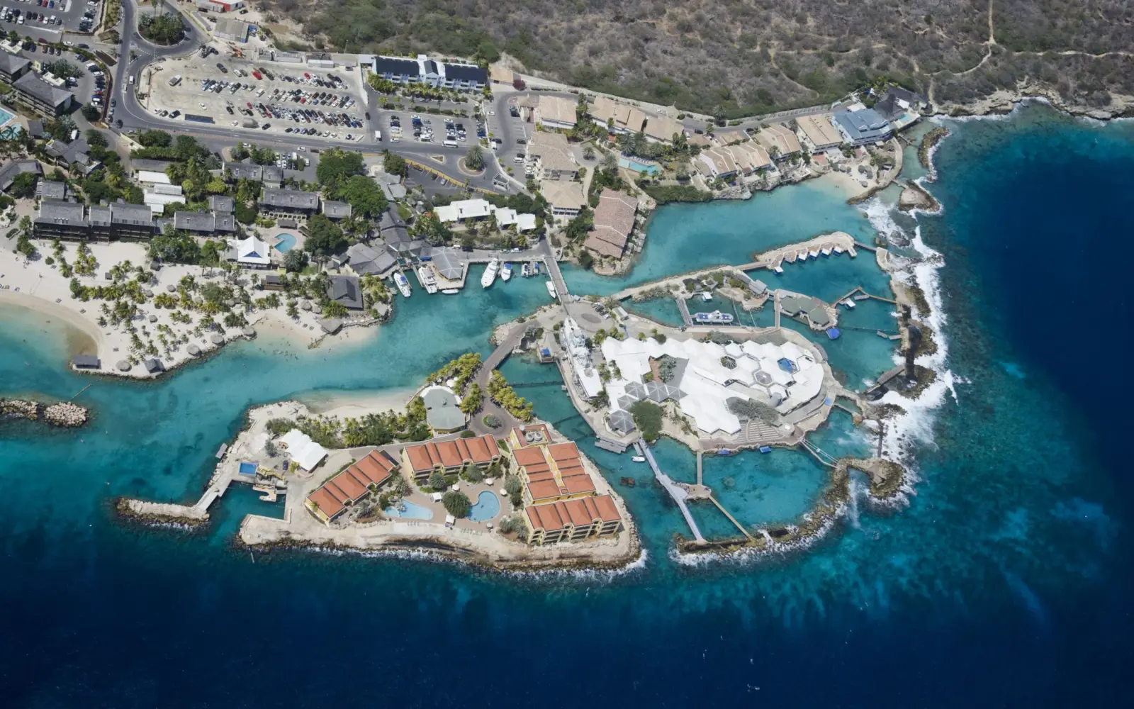 Das Curacao Dolphin Therapy & Research Center auf den Niederländischen Antillen ist das Partnerzentrum von delfine therapieren menschen. Foto: Chris Richards