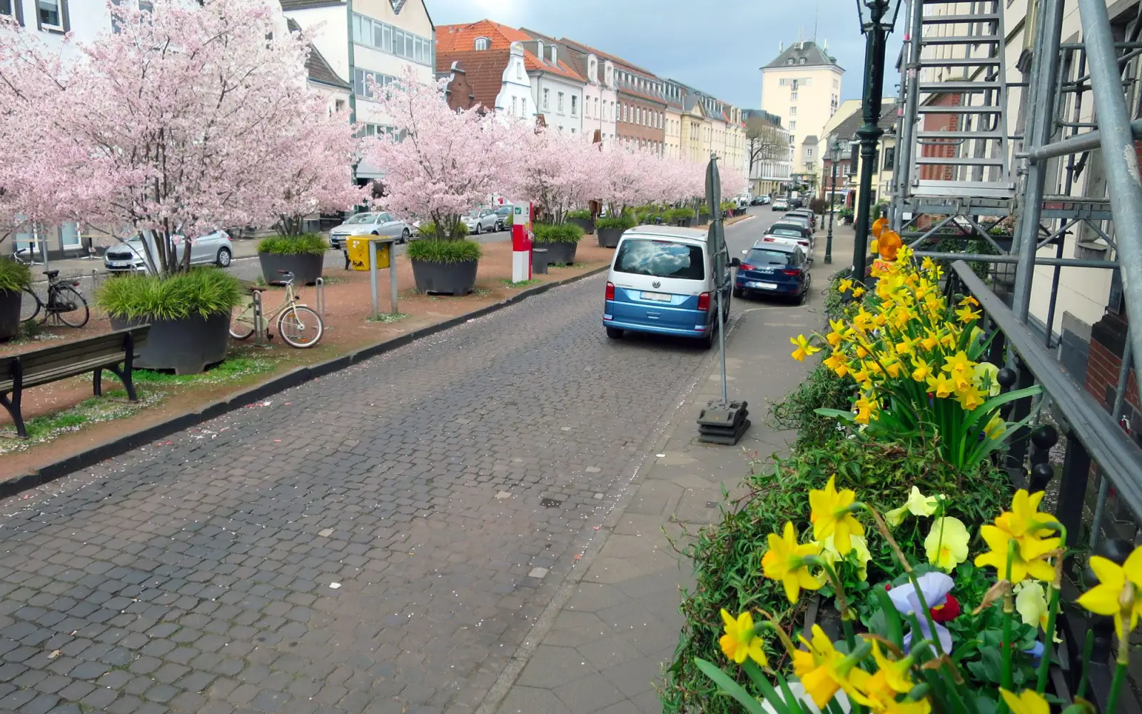 Die Blüte der japanischen Brautkirsche wird in Kürze vorbei sein. Die Kaiserswerther Rathaustreppe ist ein Vorbild für einen dauerhaft blühenden Norden. Viele Paten für die kostenlosen „Blumenoasen“ vor den Haus- und Ladentüren wären eine wunderbare Ergänzung. Foto: hs