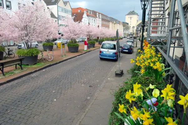 Blumenpaten für einen blühenden Düsseldorfer Norden gesucht