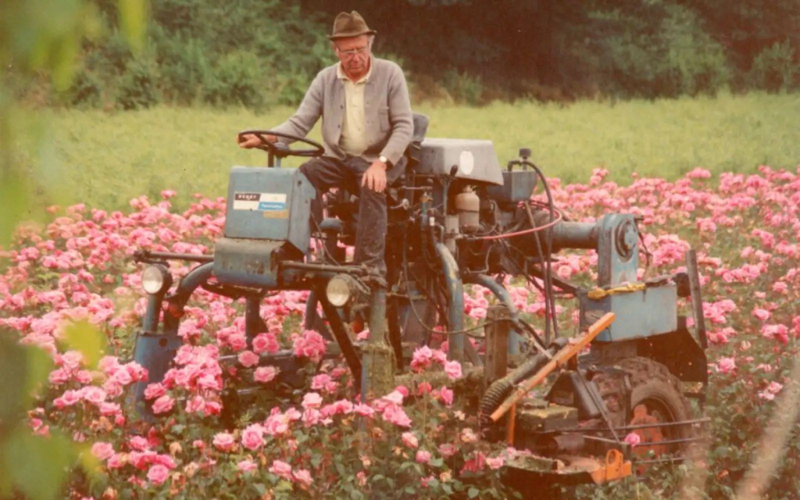 Firmengründer Heinrich Ruland beim maschinellen Rückschnitt mit einer selbstkonstruierten Maschine. Foto: Rosen Ruland