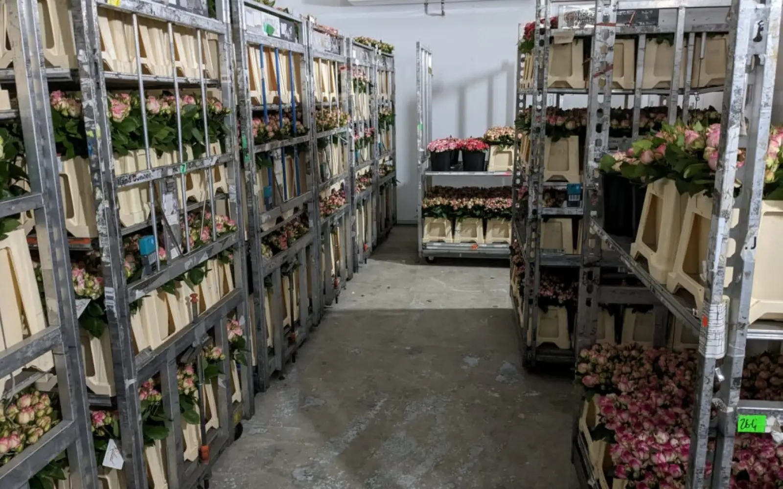 Kommissionierte Rosenbestellungen für den Großhandel. Foto: Rosen Ruland