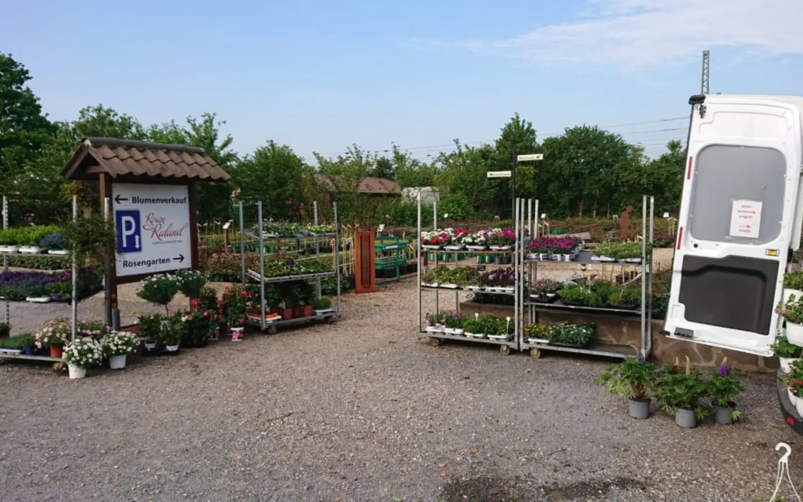 Rosengarten mit Pflanzenverkauf. Foto: Rosen Ruland
