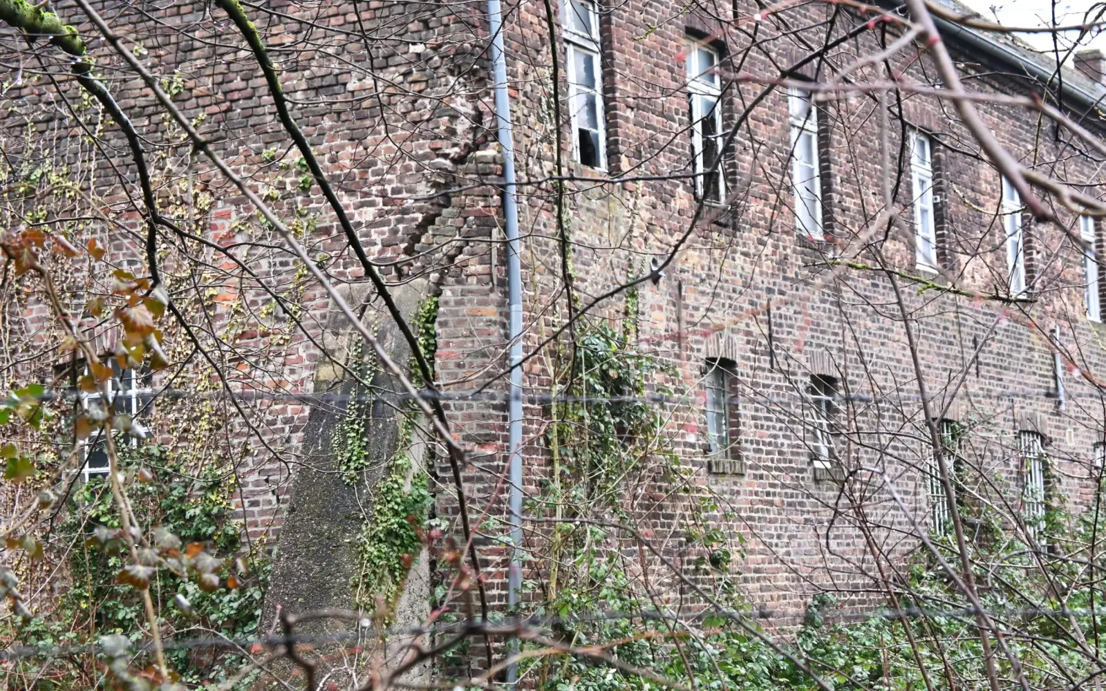 Wahrscheinlich ist der Baugrund dafür verantwortlich, dass die südliche Gebäudeecke von „Gut Böckum“ in Huckingen deutliche Veränderungen zu den Vorjahren aufweist. Foto: sam