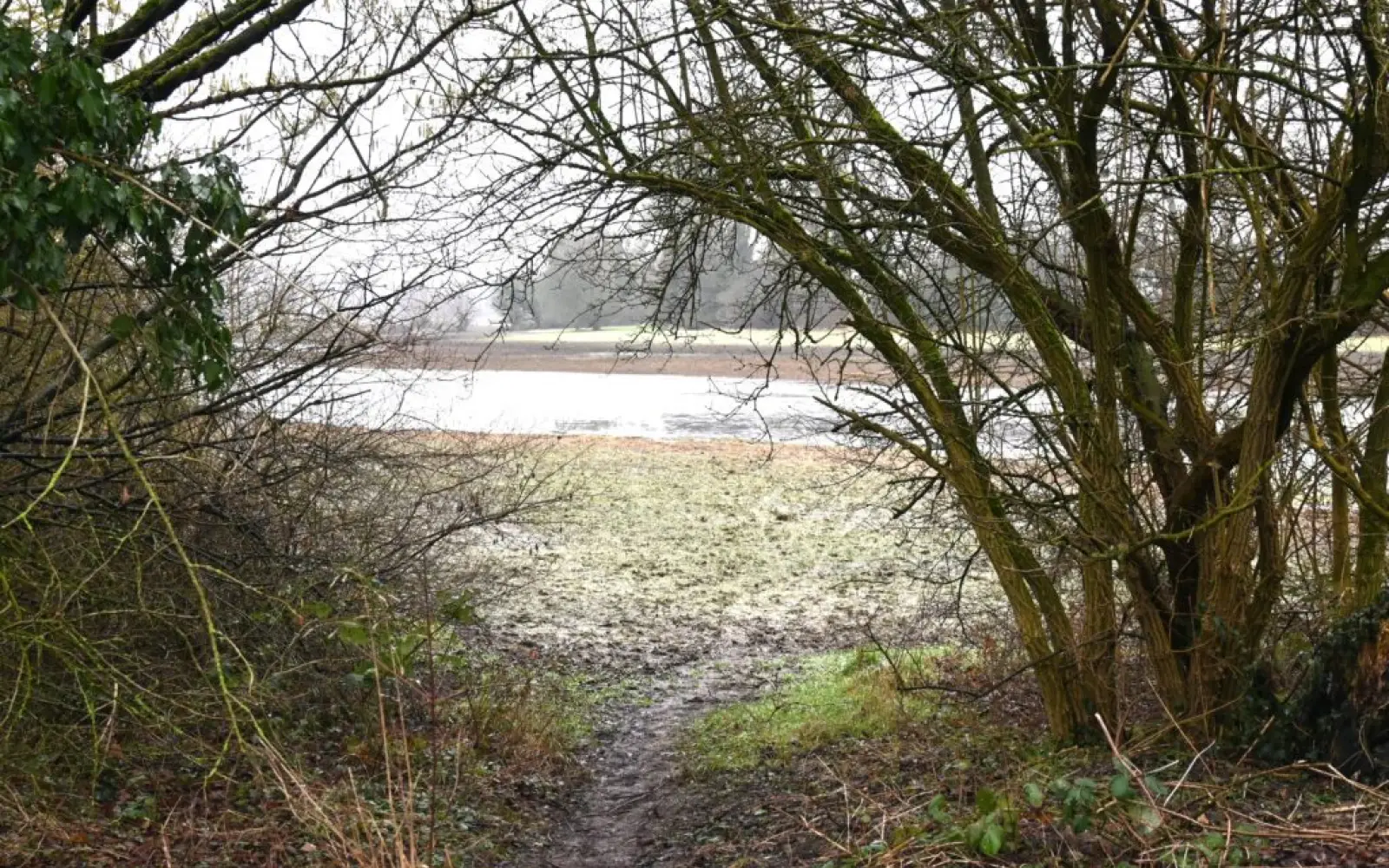 Gegenüber der südlichen Gebäudeecke, nur durch den Schotterweg getrennt, steht das Wasser auf den Feldern. Foto: sam