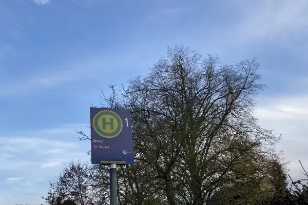 DVG optimiert Fahrten für Schulbusse: Anpassungen an Unterrichtszeiten
