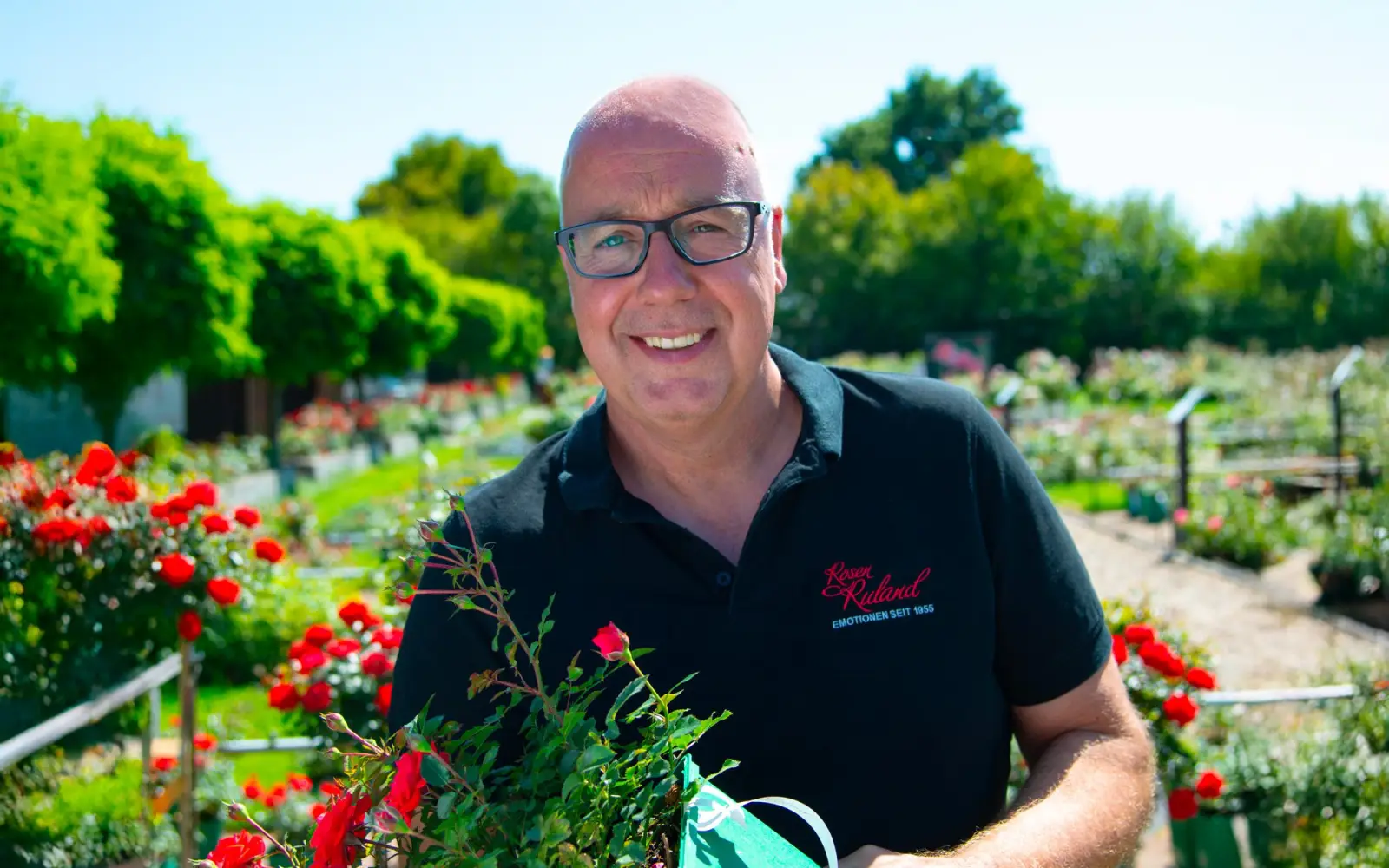 "Rosen Ruland" startet am 13. März wieder in die Saison. Mit seinen mehr als 50 Rosensorten hat Werner Ruland schon viele Preise gewonnen. Archivfoto: Obermann