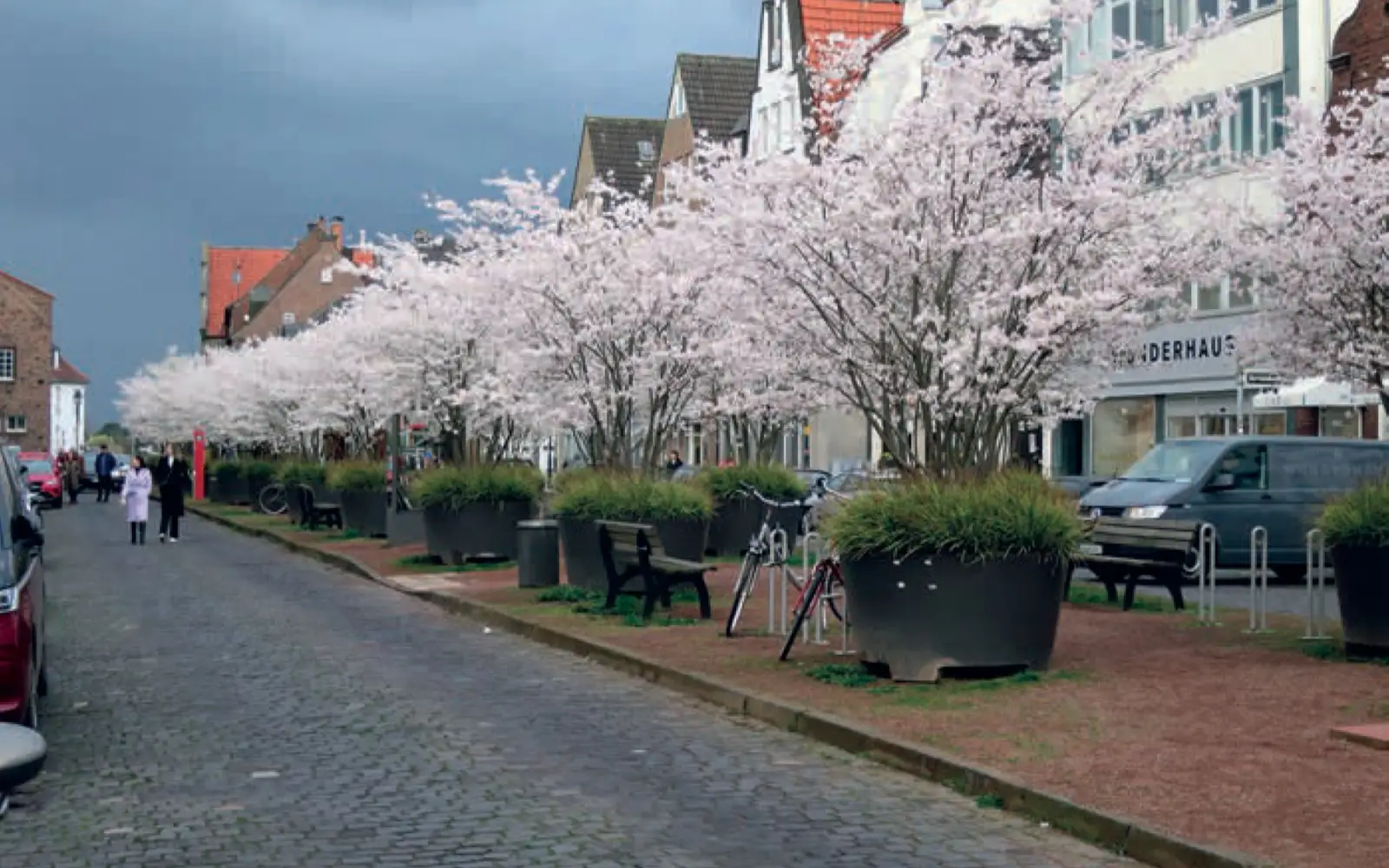 Blick auf den Mittestreifen des Kaiserswerther Marktes mit blühenden japanischen Brautkirschen. Foto: HS