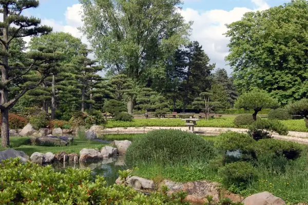 Wasserbecken im Japanischen Garten im Nordpark werden überprüft