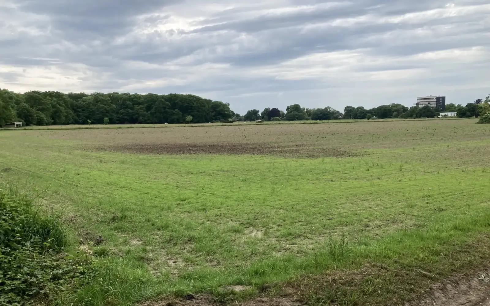 Aus dem Rahmerbuschfeld soll ein Neubaugebiet werden. Foto: sam