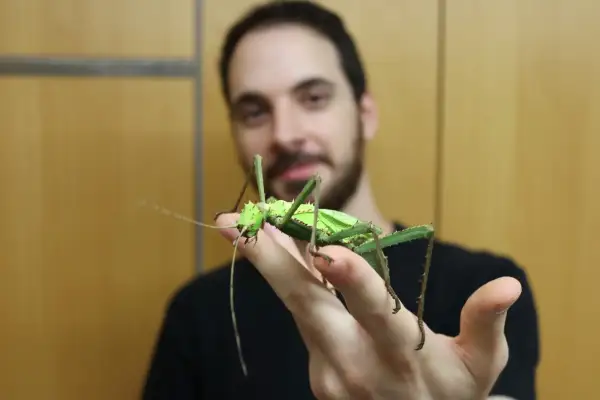 Faszination Insekten: Workshops für Erwachsene im Aquazoo Löbbecke Museum