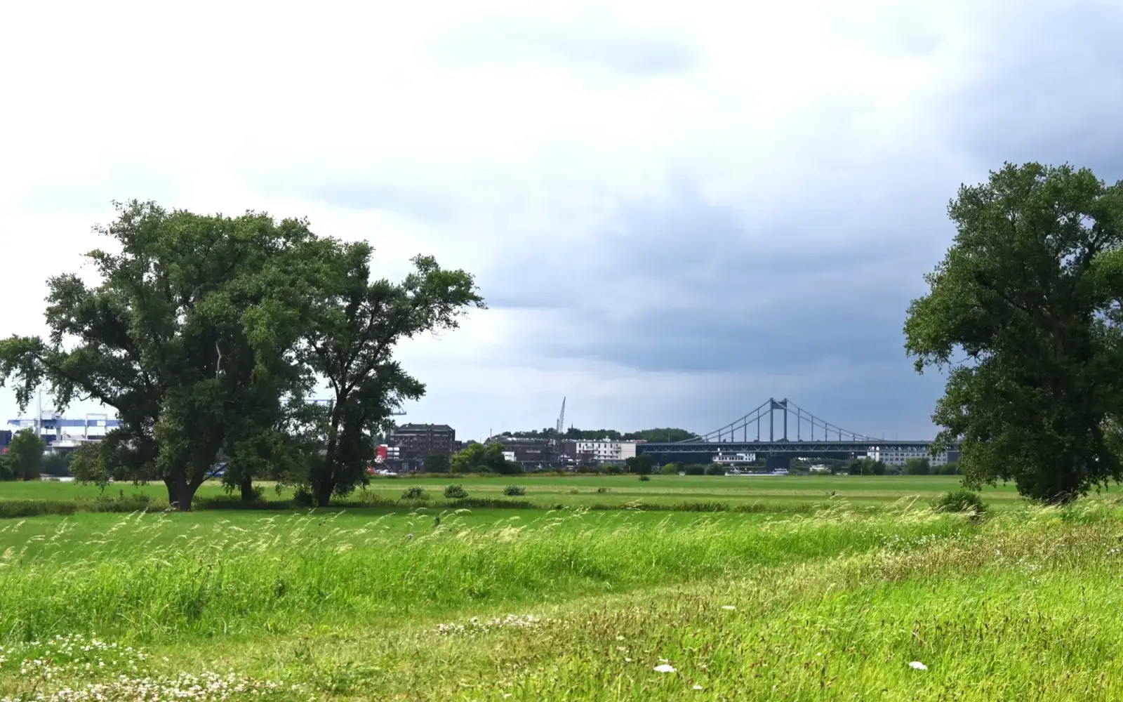 Wer entlang des Rheinbogens spazieren gehen möchte, freut sich, wenn dort kein Müll liegt. Also: Gemeinsam am Samstag, 14. September, den Müll beseitigen! Foto: sam