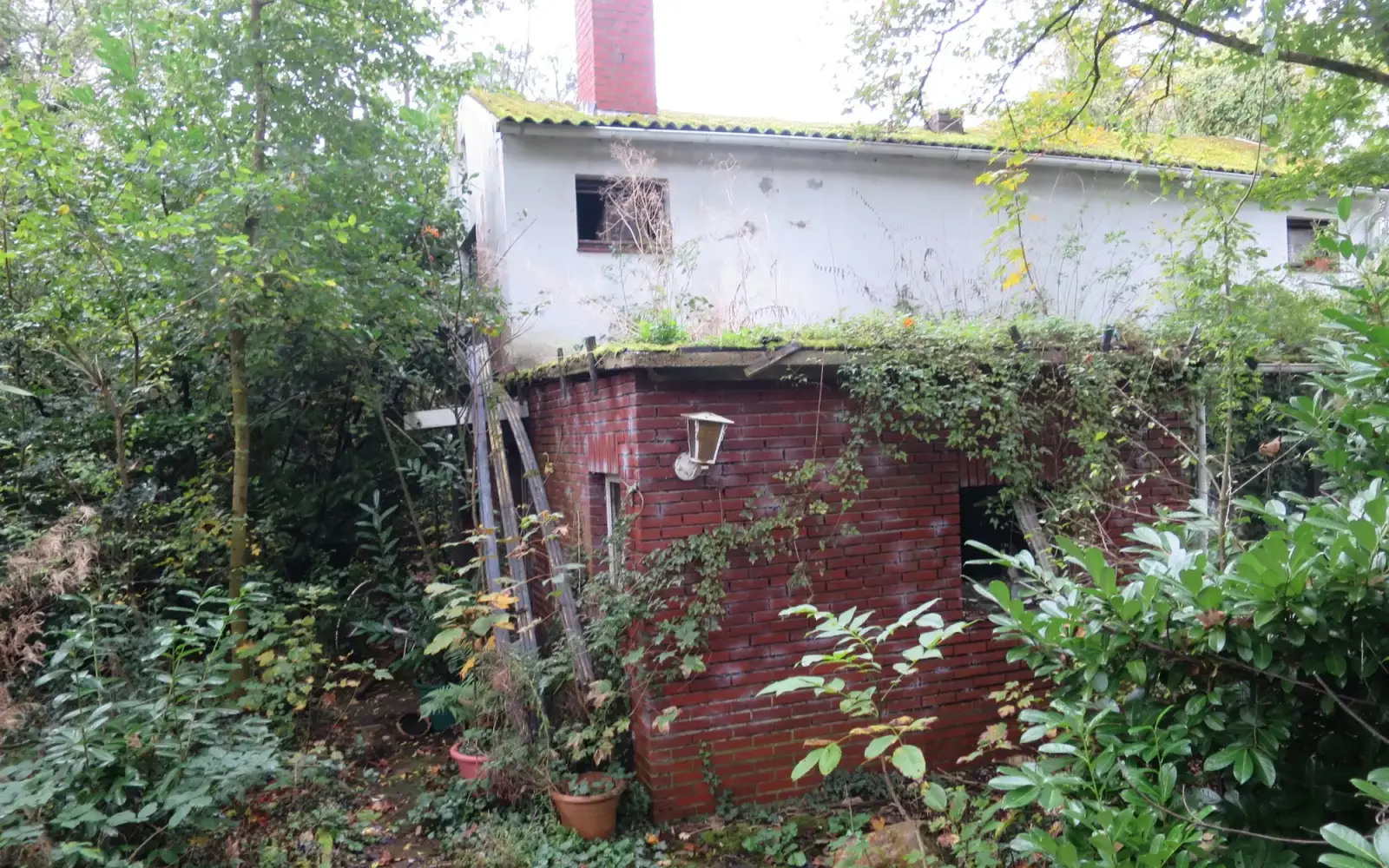 Eine vermüllte Ruine Am Ritterskamp. Foto: hs