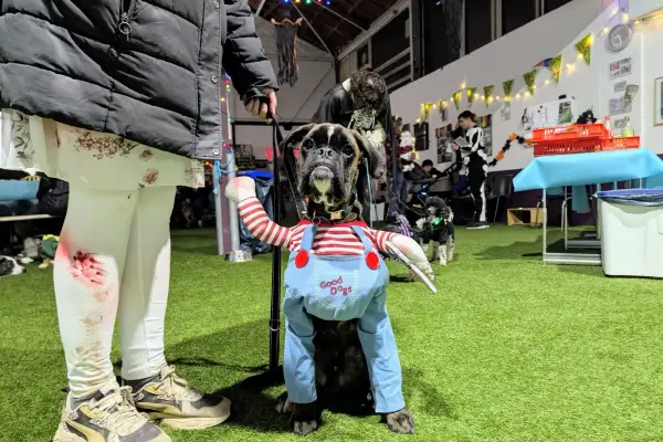 Halloween-Nachtwanderung in Großenbaum: Spannender Abend für Hund und Halter