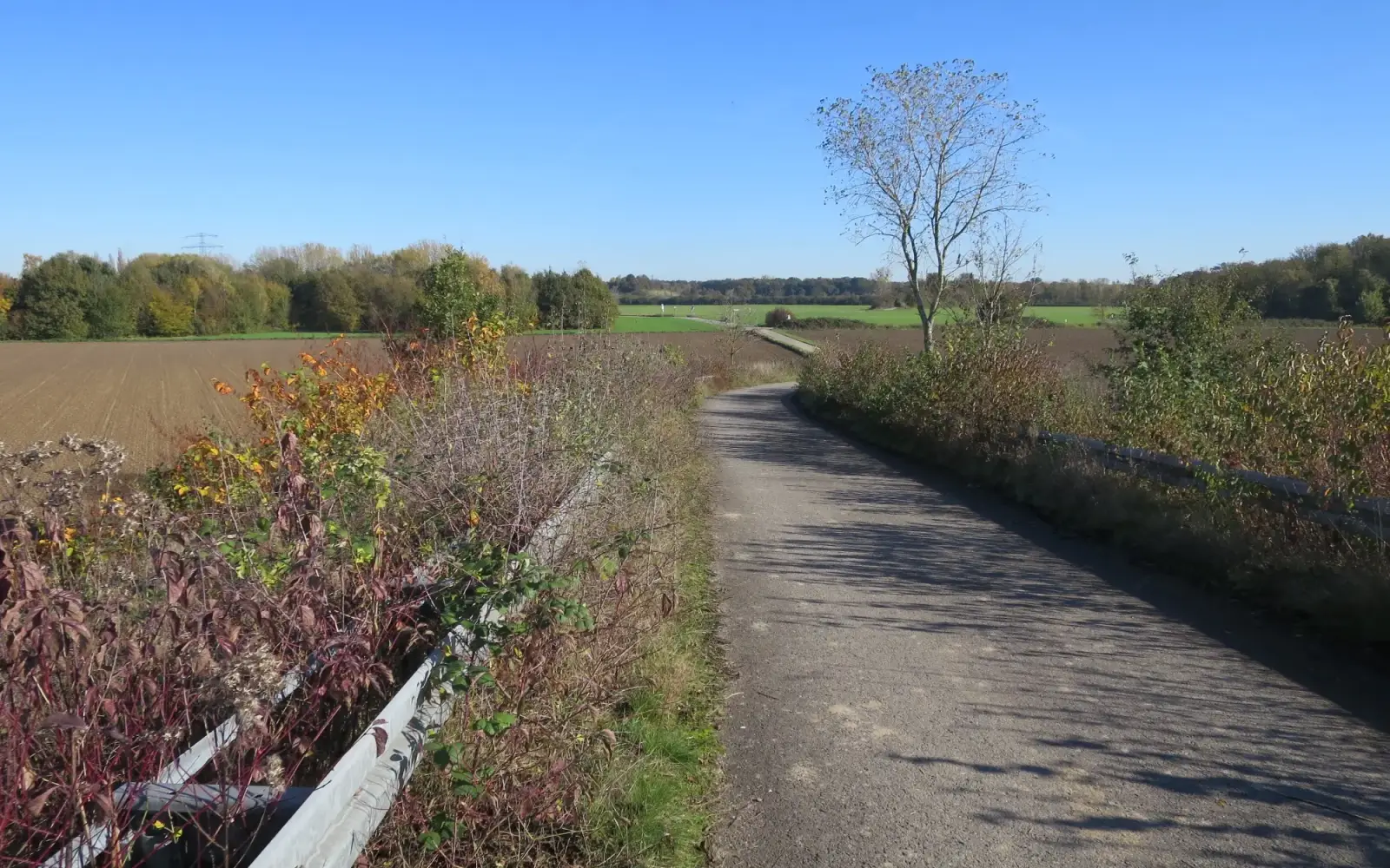 Die von Siedlungen und Gewerbegebieten verschonte niederrheinische Landschaft im Düsseldorfer Norden birgt auch Schätze und Nutzungsmöglichkeiten in der Tiefe. Foto: hs