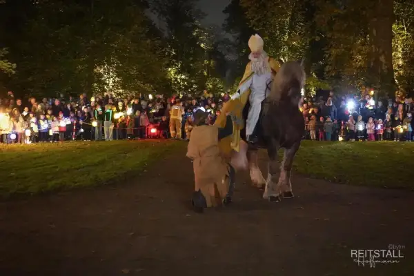 Großartiges Martinsfest im erleuchteten Kalkumer Schlosspark