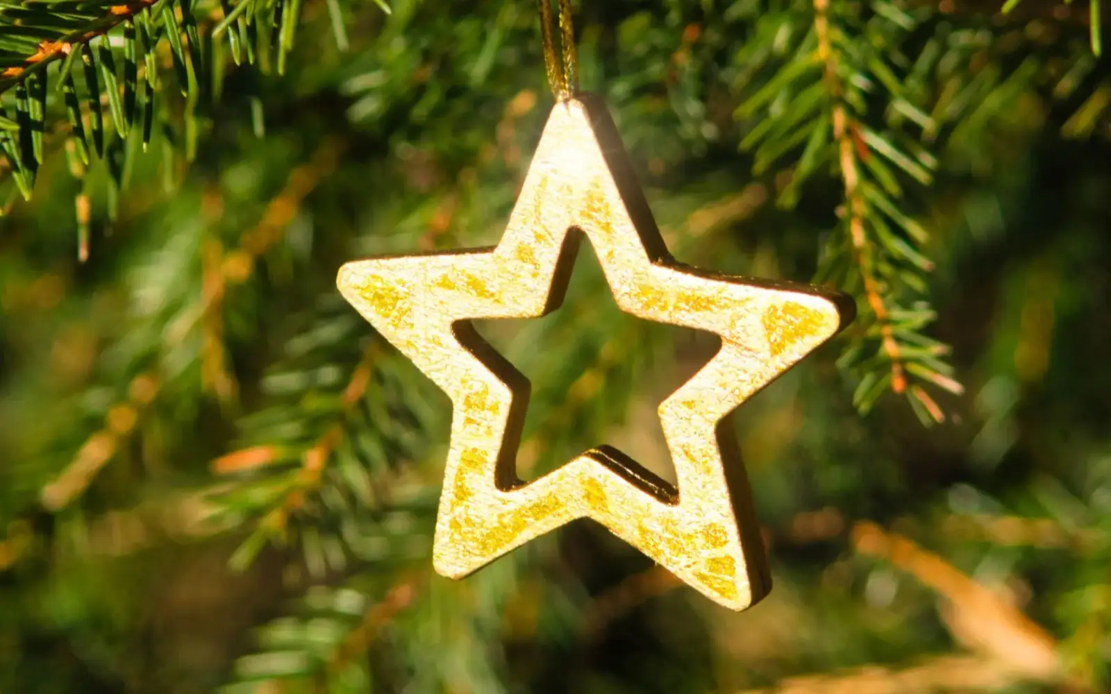 Ein Weihnachtsstern schmückt einen Tannenbaum. Symbolfoto