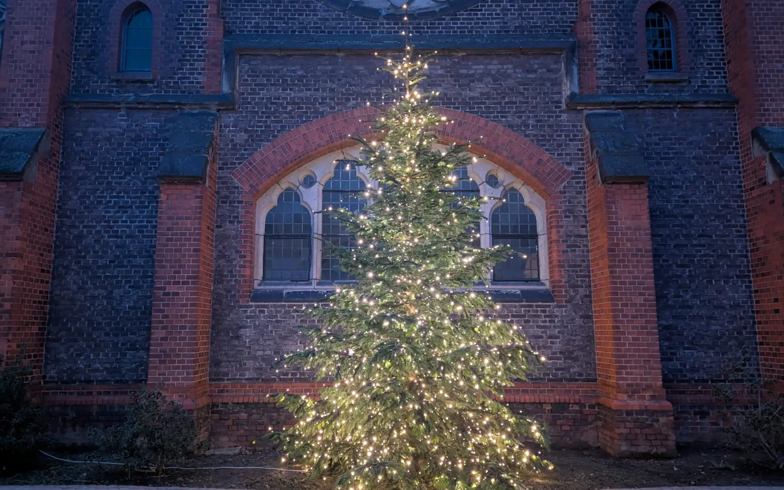 Ein festlich geschmückter Weihnachtsbaum erstrahlt vor der Mutterhauskirche. Foto: ah