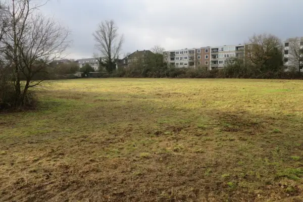 Ökologischer Stadtumbau mit Mini-Parks und Hochzeitswiese