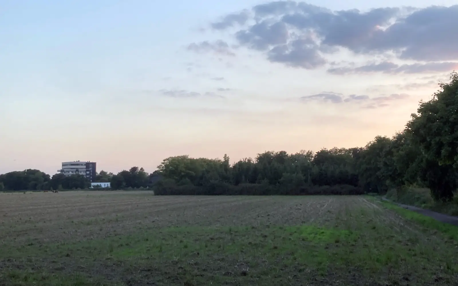Im Eilverfahren wird das OVG Münster über eine BUND-Klage zum geplanten Neubaugebiet Rahmerbuschfeld entscheiden – aber wohl nicht vor der Kommunalwahl im September. Foto: sam