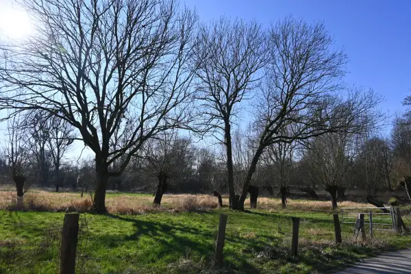 Kostenlose Natur-Exkursionen im Biegerpark: Spannende Entdeckungen für Familien