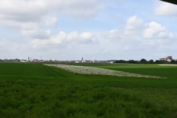 Wie Familie Mosch die Artenvielfalt durch Naturschutz unterstützt