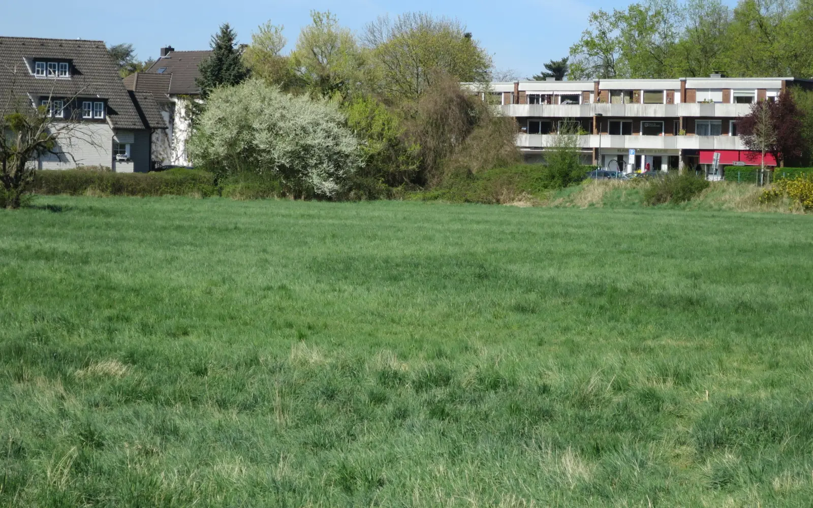 Auf der Wiese „Am Fettpott“ in Angermund soll das Stadtteilzentrum um eine Dorfmitte mit Nahversorgung, Gastronomie und einem Platz mit Aufenthaltsqualität erweitert werden. Foto: hs