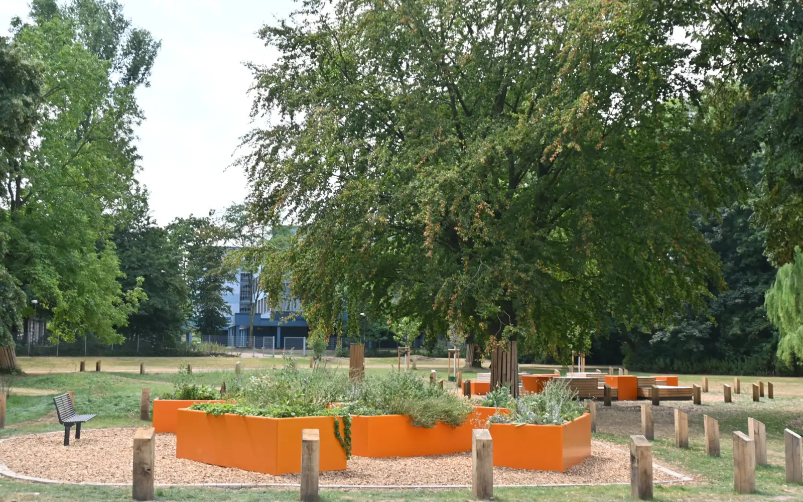 Im Zuge der Umgestaltung des Biegerparks ist das grüne Klassenzimmer neu entstanden. Foto: sam