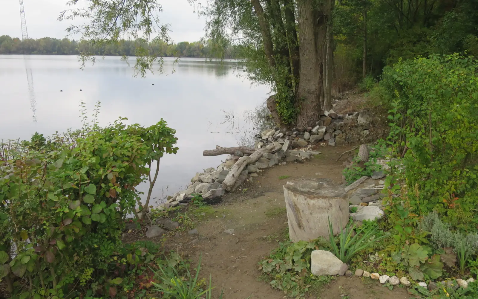 An Stellen wie diesem Lager- und Grillplatz mit Wasserzugang am Ostufer haben sich Badelustige über die Jahre eigene Plätze rings um den See geschaffen. Foto: hs