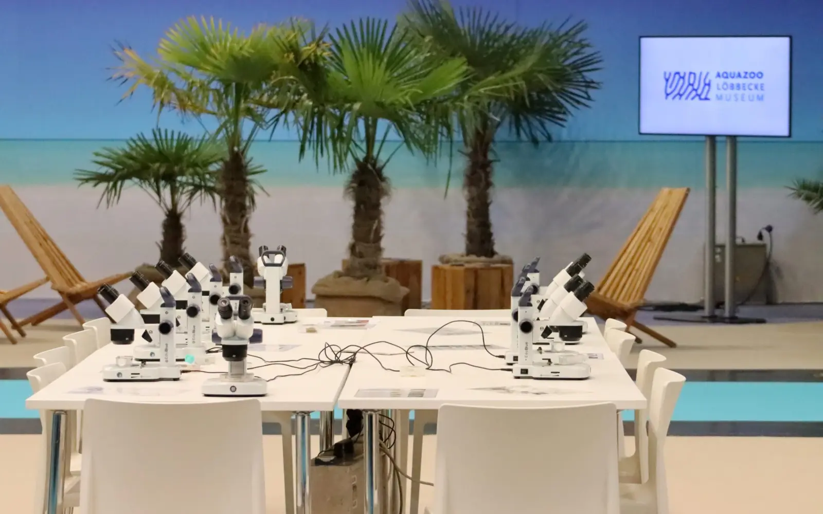 Im „Maritimen Klassenzimmer" in Halle 14 erforschten Schülerinnen und Schüler an Mikroskopen die faszinierende Welt der Meeresorganismen. Foto: Aquazoo Löbbecke Museum
