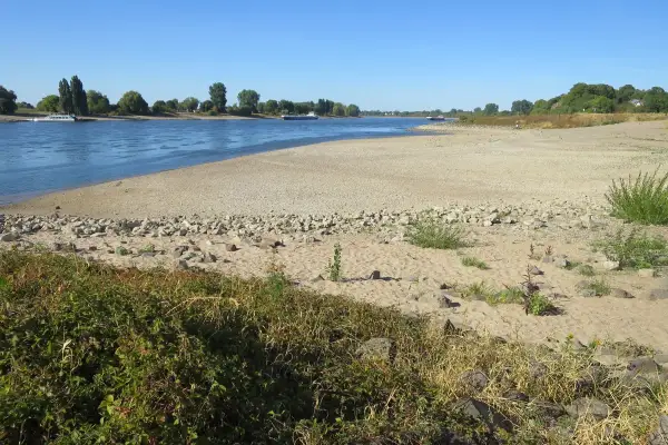 Niedrigwasser legt breite Sandbuchten am Rhein bei Kaiserswerth frei