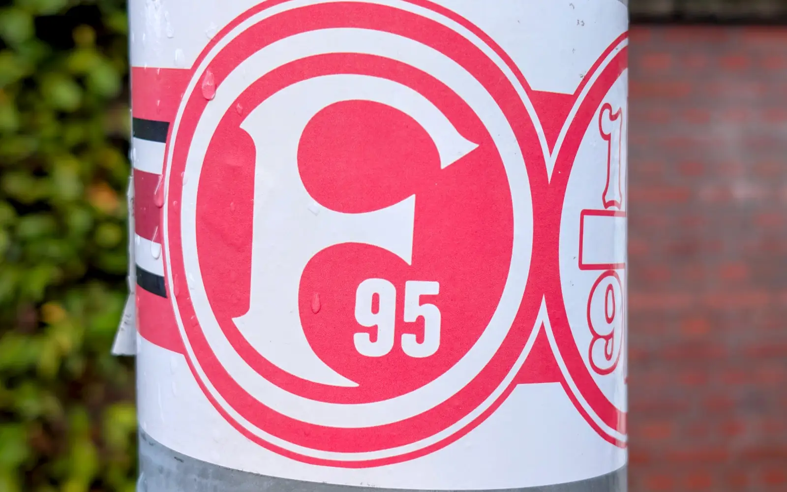 Der Verein hat das Geschäftsjahr 2025/26 trotz des Abstiegs in die 3. Liga mit einem Überschuss abgeschlossen.