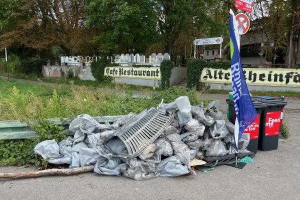 Freiwillige säubern beim neunten Rhine Clean Up das Rheinufer in Kaiserswerth