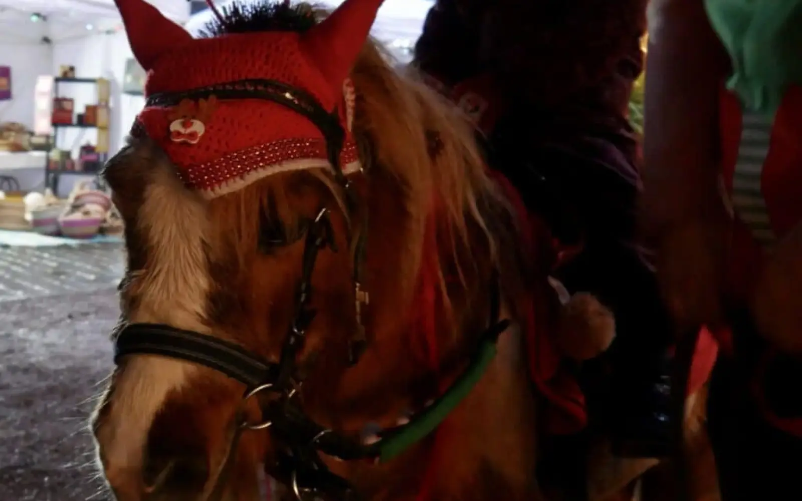 Die Einnahmen vom Ponyreiten, kommen in die „Lichterkasse“. Foto: cj