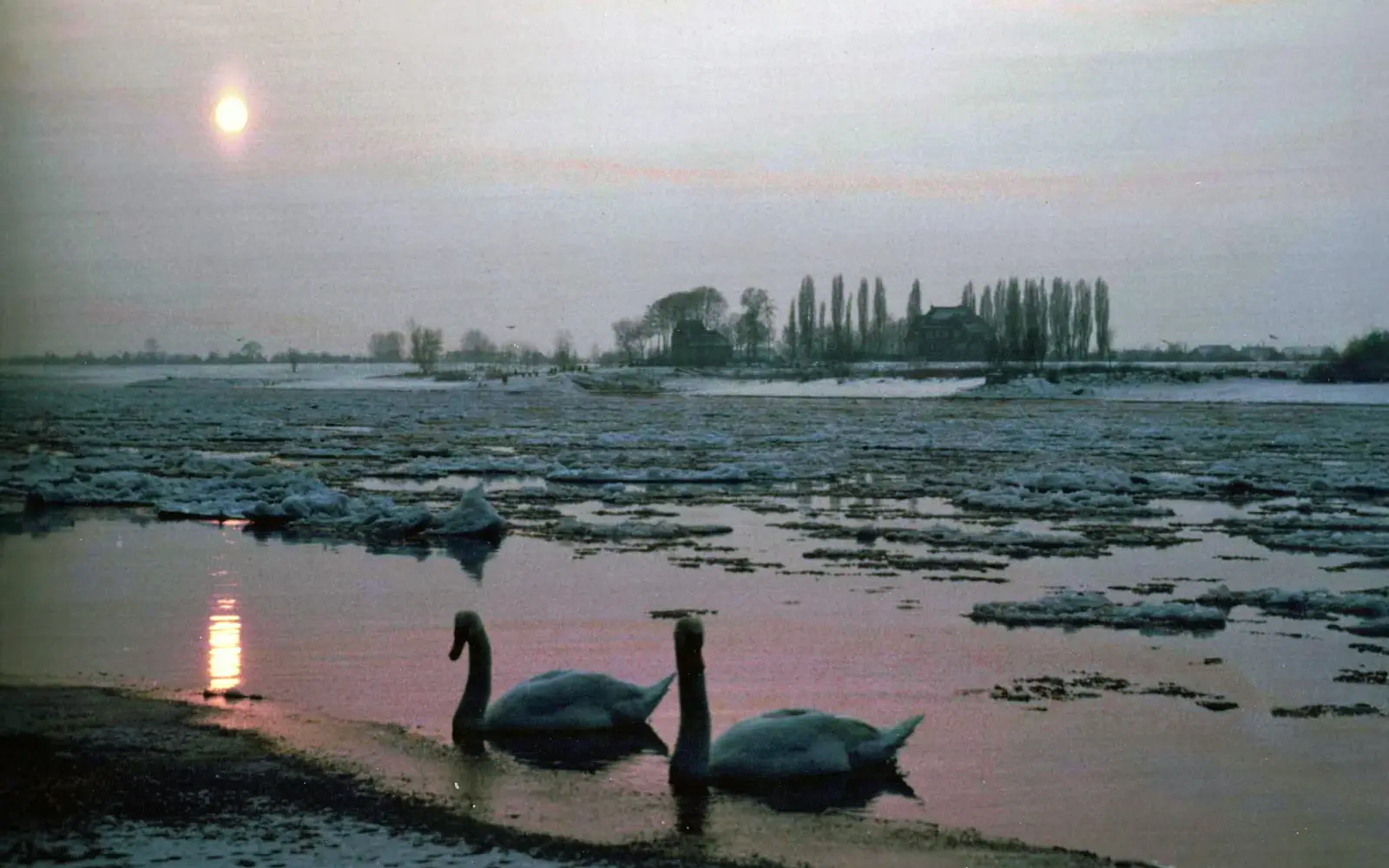 Ein winterlicher Blick von der Kaiserswerther Uferpromenade über den Rhein nach Langst-Kierst im Januar 1963. Foto: Privat