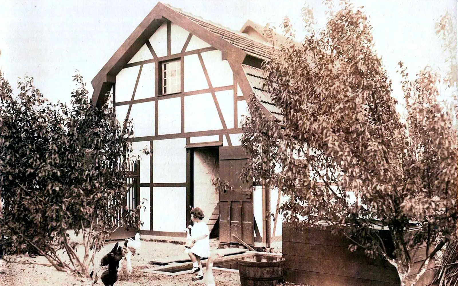 Tochter Cornelia im Hühnerhof. Angermund 1924/25. Foto im Besitz der Familie von Beate Hahn.