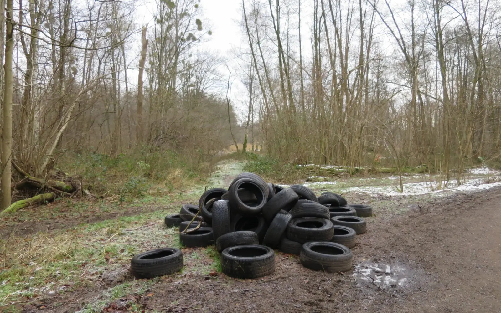 Illegale, rücksichtslose Reifenentsorgung im Naturschutzgebiet Rahmer Benden. Foto: hs