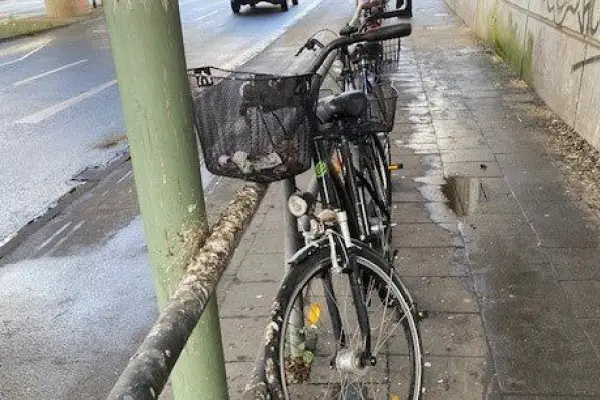 CDU: Tauben-Problematik am Bahnhof in Buchholz ist inakzeptabel