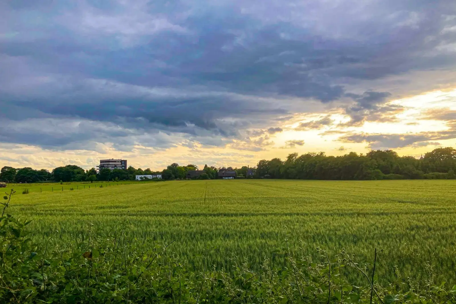 Das OVG Münster hat den Bebauungsplan Rahmerbuschfeld für unwirksam erklärt und einen vorläufigen Baustopp verhängt. Foto: sam