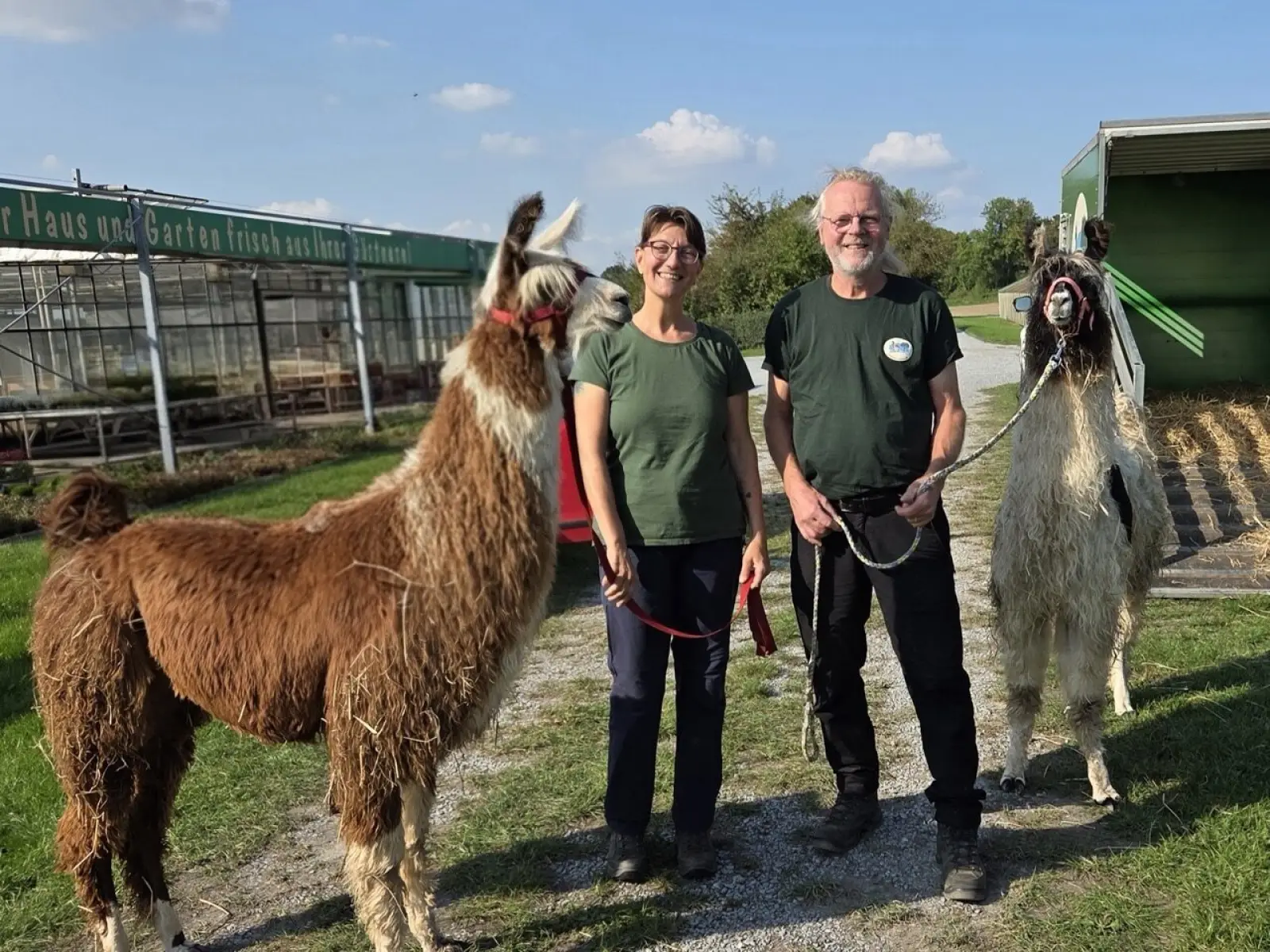 Michaela und Detlef Maluche freuen sich auf ihre zwei neuen Lamas, Amber und Thylane. Foto: privat