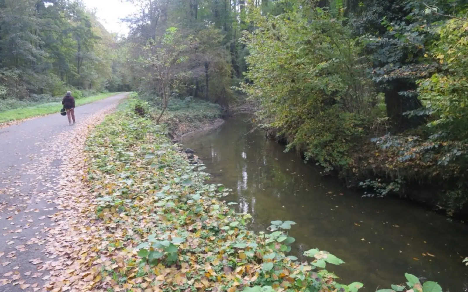 Die Anger in der Überanger Mark. Foto: hs